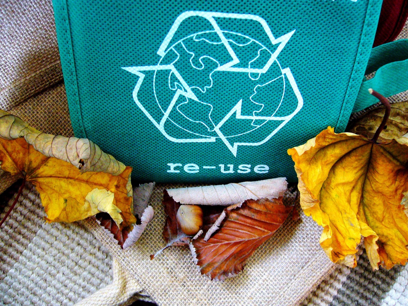 Recyclingdame Recyclingdame
