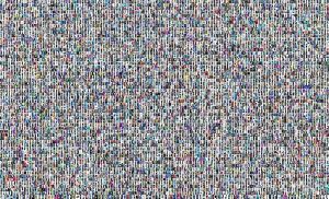 Bild1_300 Bild1_300